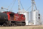 CP 8061